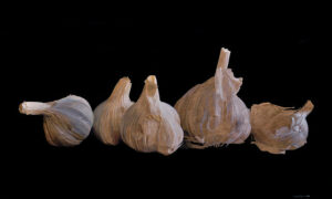 23f06f_811215fd46024012a5cef33f8575b537.jpg_srz_p_642_385_75_22_0.50_1.20_0.00_jpg_srz