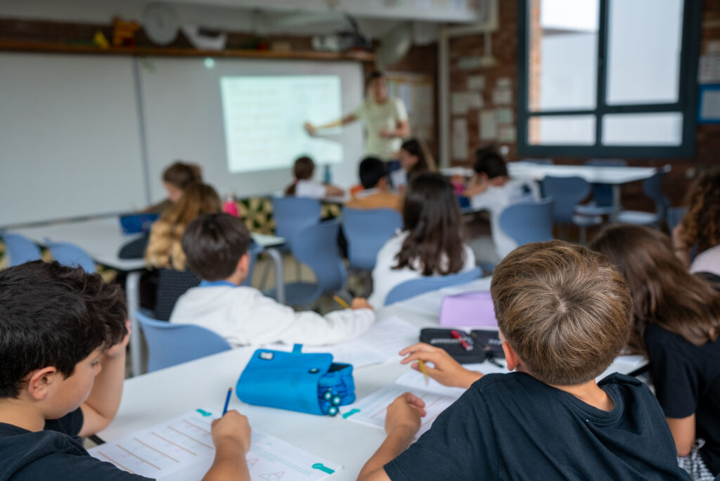 Aprenentatge projectes i sistematització