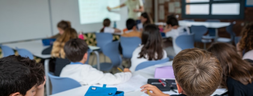 Aprenentatge projectes i sistematització